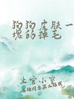 狗狗皮肤一块一块的掉毛