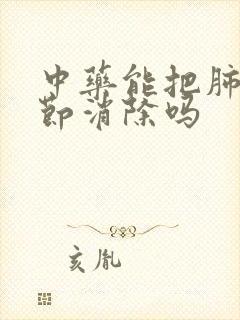 中药能把肺有结节消除吗