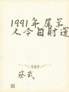 1991年属羊人今日财运