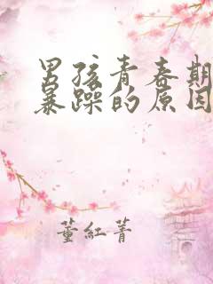 男孩青春期易怒暴躁的原因?