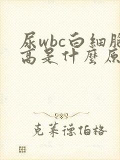 尿wbc白细胞高是什么原因