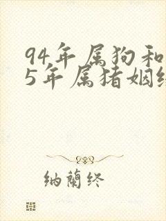 94年属狗和95年属猪姻缘如何