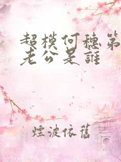 超模何穗第一任老公是谁