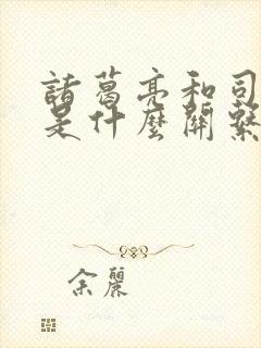 诸葛亮和司马懿是什么关系