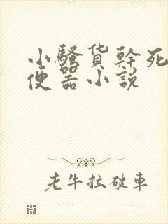 小骚货干死你肉便器小说