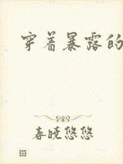 穿着暴露的小说