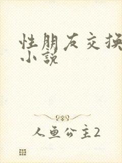 性朋友交换长篇小说