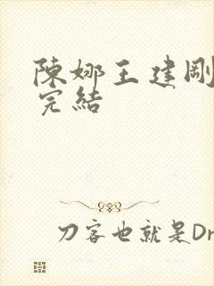 陈娜王建刚小说完结