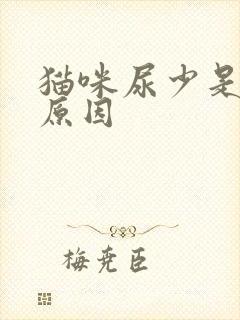 猫咪尿少是什么原因