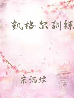 凯格尔训练器女