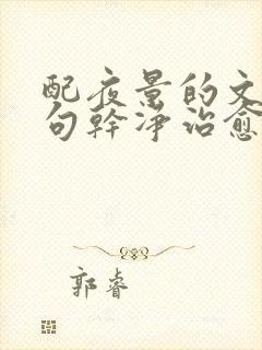 配夜景的文案短句干净治愈