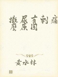 撒尿有刺痛感什么原因