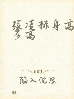 张凌赫身高实际多高