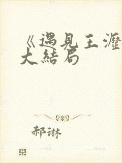 《遇见王沥川》大结局