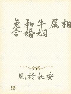 兔和牛属相合不合婚姻