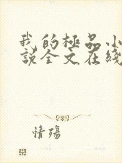 我的极品小姨小说全文在线阅读