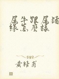 属牛跟属猪的姻缘怎么样