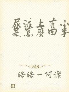 尿液上有小泡泡是怎么回事