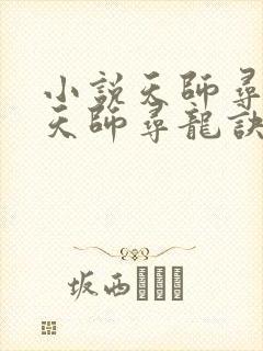 小说天师寻龙诀天师寻龙诀