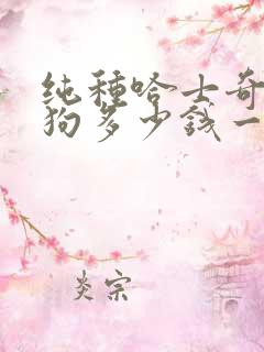 纯种哈士奇犬小狗多少钱一只