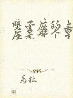 双子座的上升星座是哪个星座怎么看