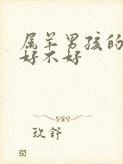 属羊男孩的命运好不好