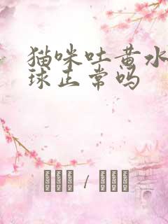 猫咪吐黄水和毛球正常吗