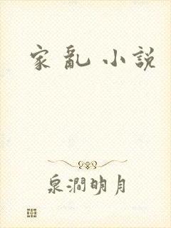 家 乱 小说