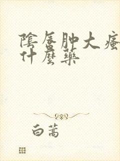 阴唇肿大瘙痒用什么药