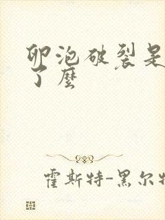 卵泡破裂是排卵了么