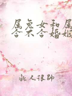 属兔女和属羊男合不合婚姻