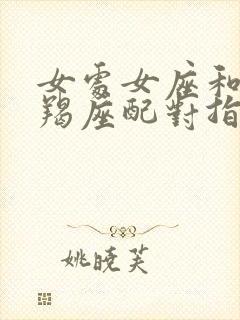 女处女座和男摩羯座配对指数