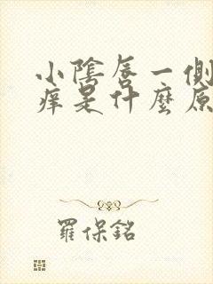 小阴唇一侧肿大痒是什么原因