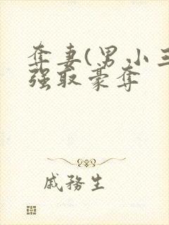 夺妻(男小三 强取豪夺