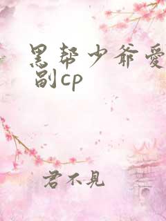 黑帮少爷爱上我 副cp