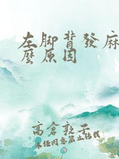 左脚背发麻是什么原因