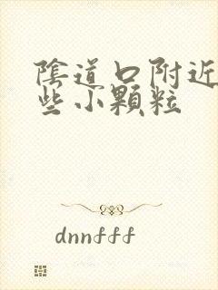 阴道口附近有一些小颗粒