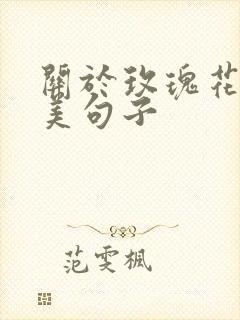 关于玫瑰花的优美句子