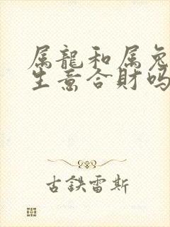 属龙和属兔的做生意合财吗