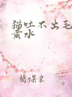 猫吐不出毛球吐黄水