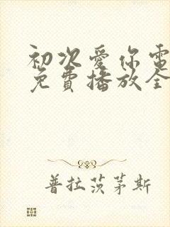 初次爱你电视剧免费播放全集