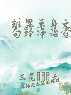 离异单身文案短句干净治愈