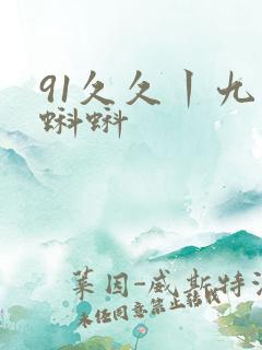 91久久丨九色蝌蚪