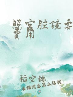 照宫腔镜要多少费用