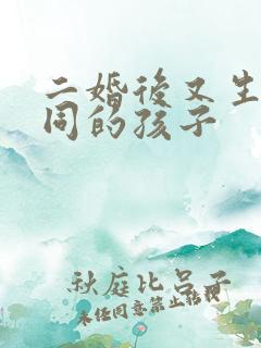 二婚后又生了共同的孩子