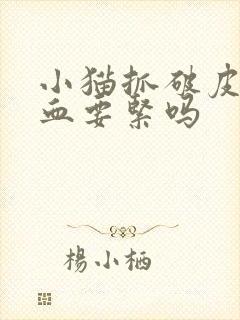 小猫抓破皮没出血要紧吗