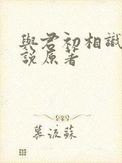 与君初相识的小说原著