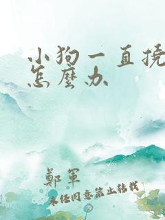 小狗一直挠痒痒怎么办