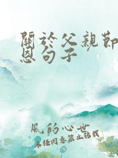 关于父亲节的感恩句子