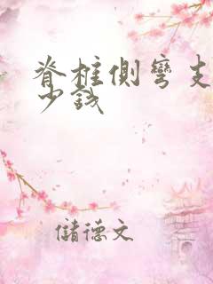 脊椎侧弯支具多少钱